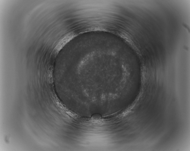 X0000102400977200808221844