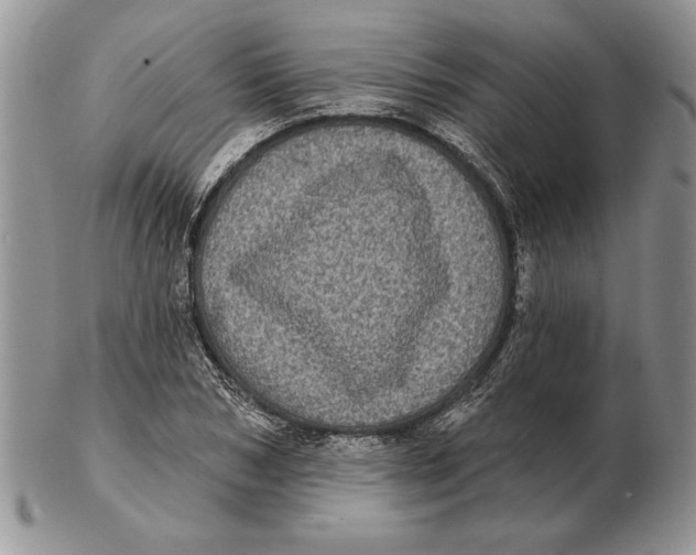 X0000102400978200808221844