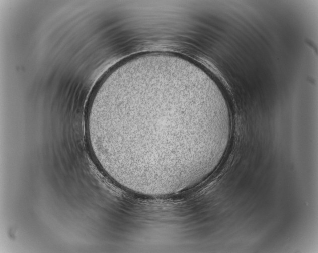 X0000102400980200808221844