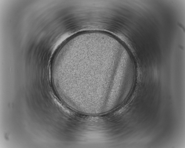 X0000102400982200808221844