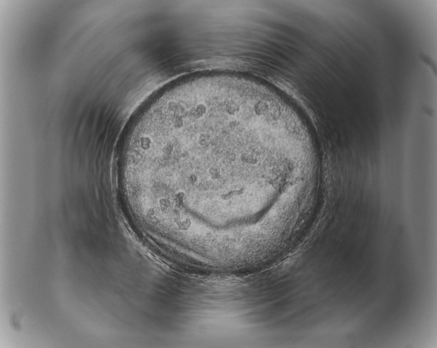 X0000102400983200808221844