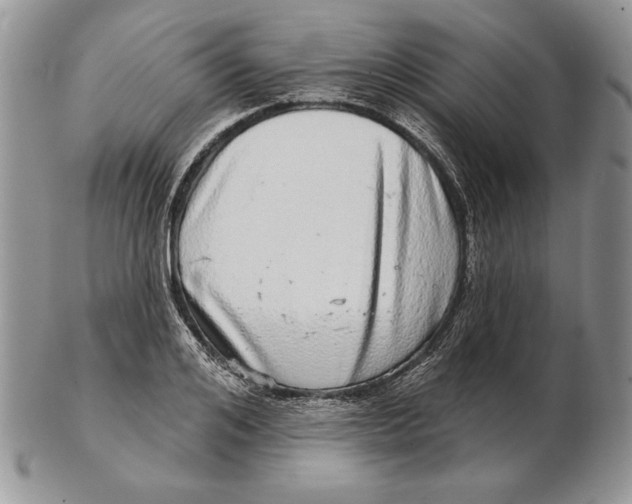 X0000102400984200808221844