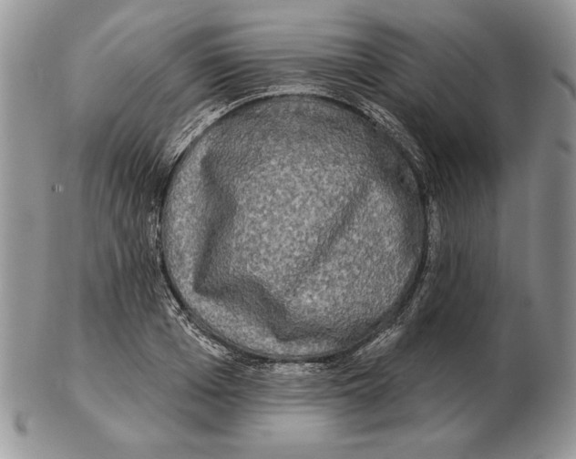 X0000102400985200808221844