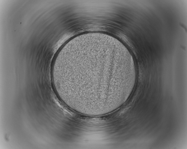 X0000102400986200808221844