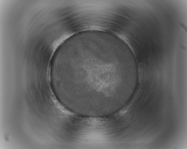 X0000102400987200808221844