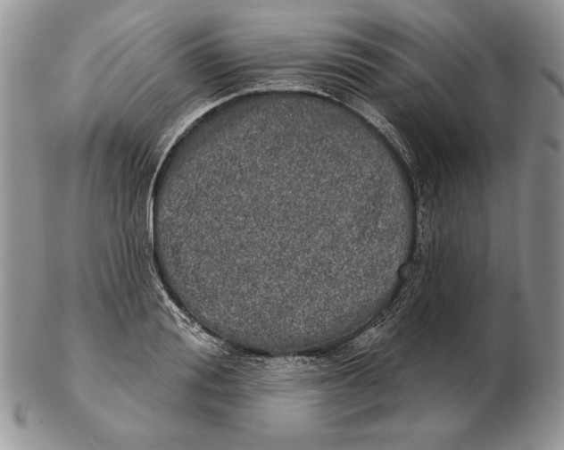 X0000102400988200808221844
