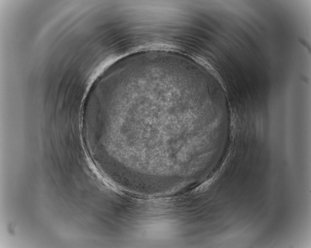 X0000102400989200808221844