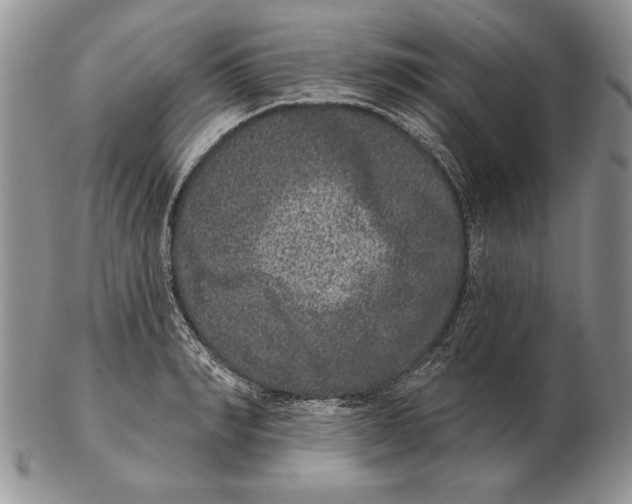 X0000102400990200808221844