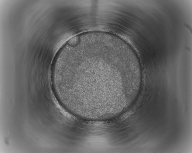 X0000102400991200808221844