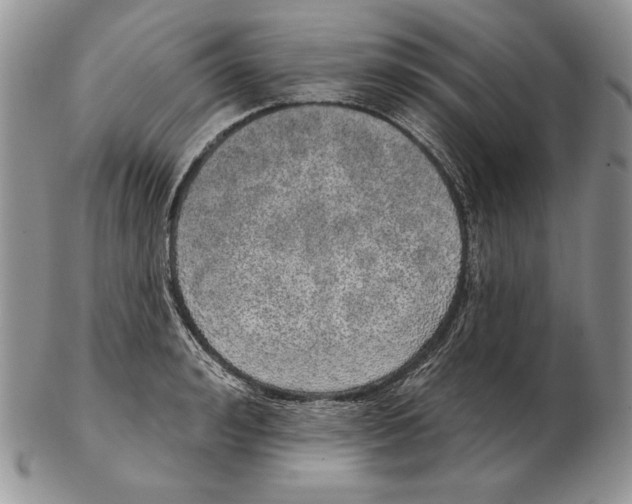 X0000102400992200808221844