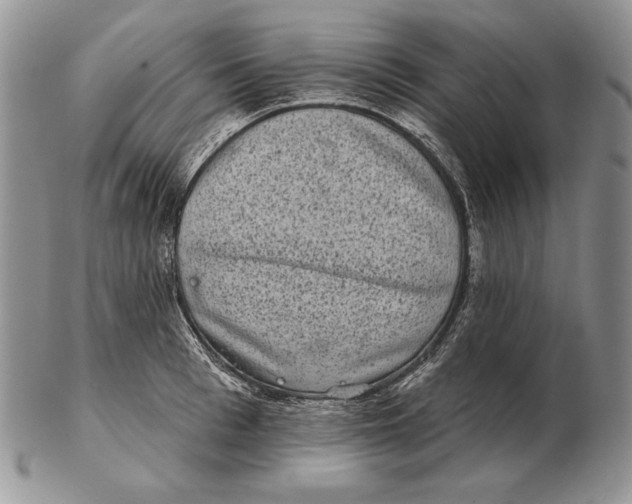 X0000102400993200808221844