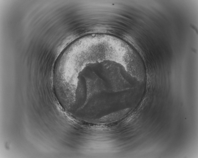 X0000102400994200808221844