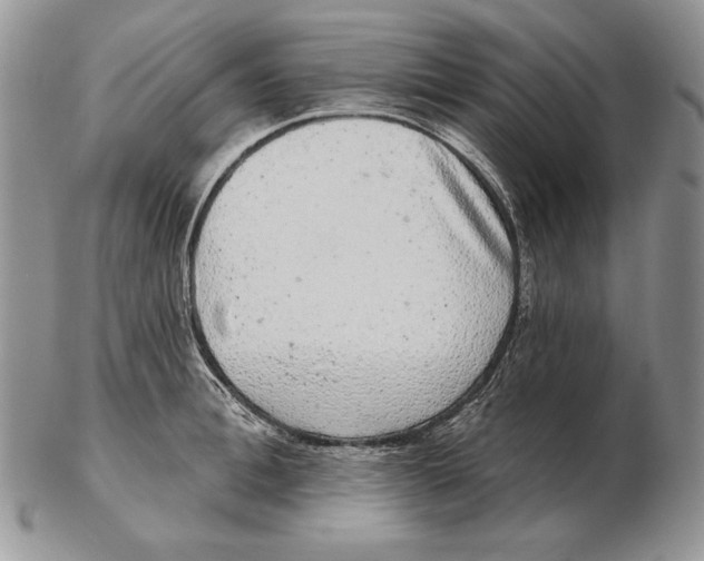 X0000102400996200808221844