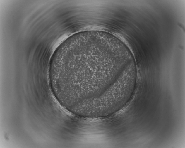 X0000102400997200808221844