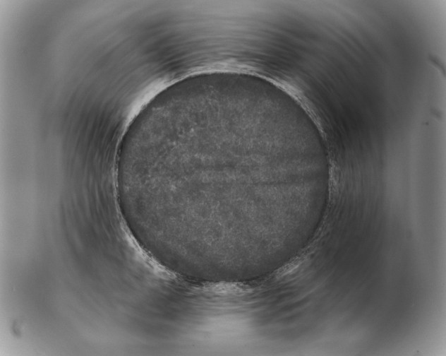 X0000102400998200808221844