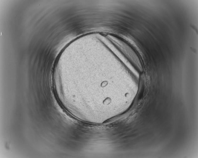 X0000102400999200808221844