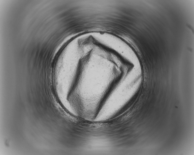 X0000102401000200808221844