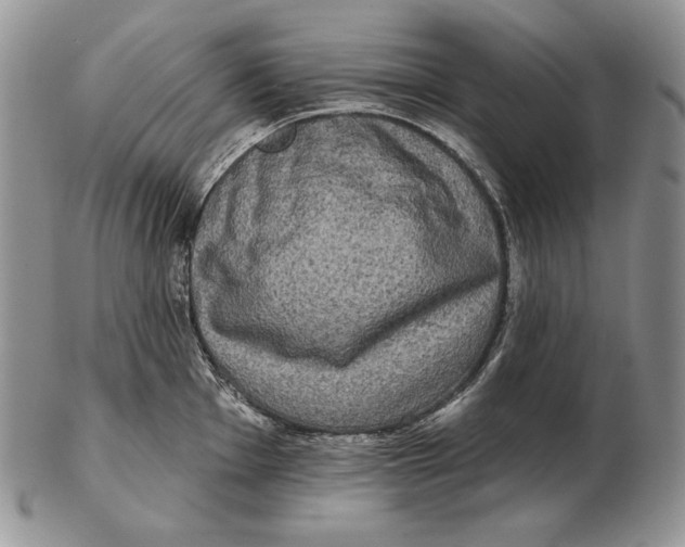 X0000102401001200808221843