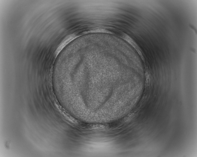 X0000102401002200808221843