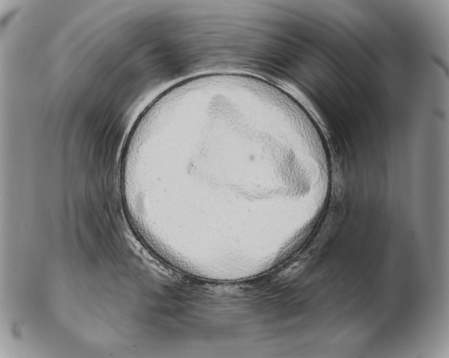 X0000102401004200808221843