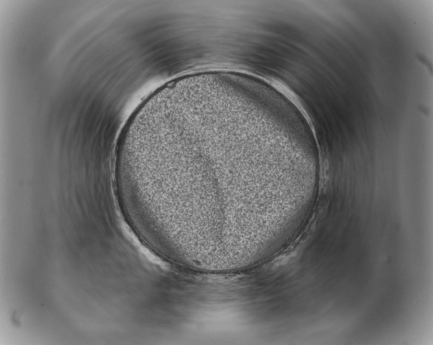 X0000102401005200808221843