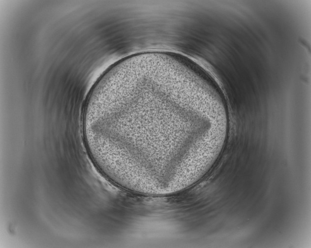 X0000102401006200808221843