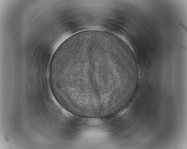 X0000102401007200808221843