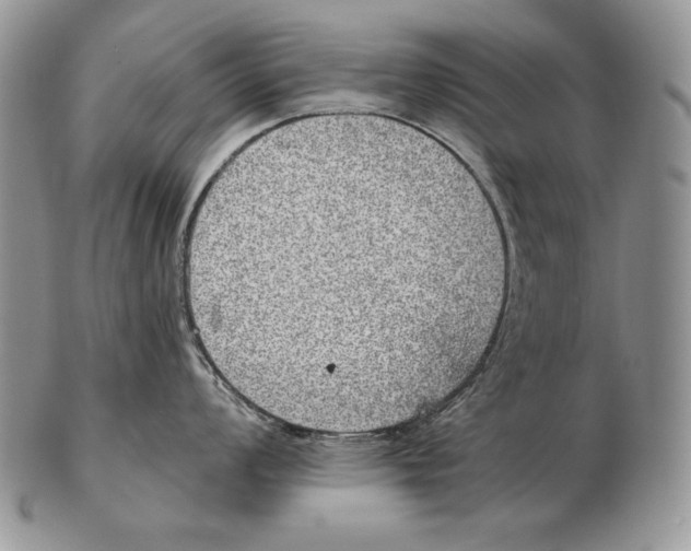 X0000102401008200808221843