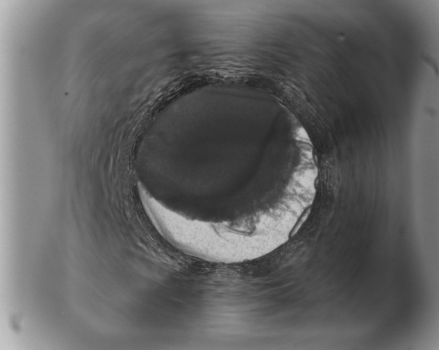 X0000102401009200808221843