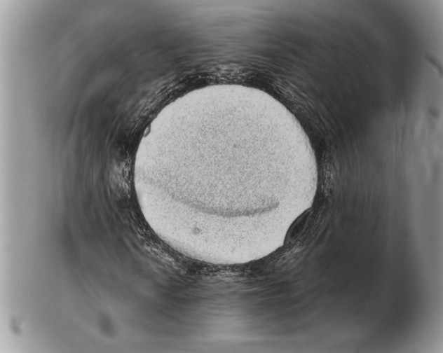 X0000102401010200808221843
