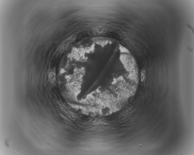 X0000102401011200808221843