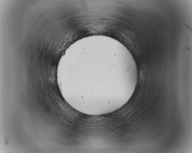 X0000102401012200808221843