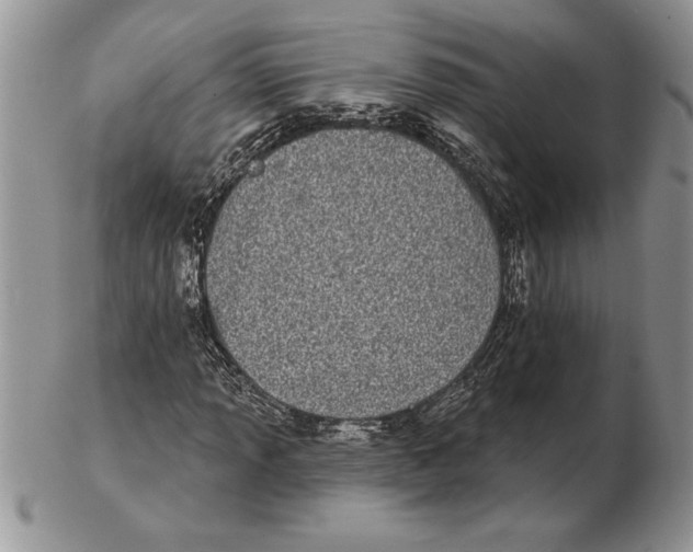 X0000102401013200808221843