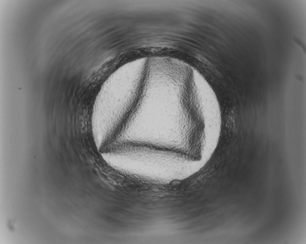 X0000102401014200808221843