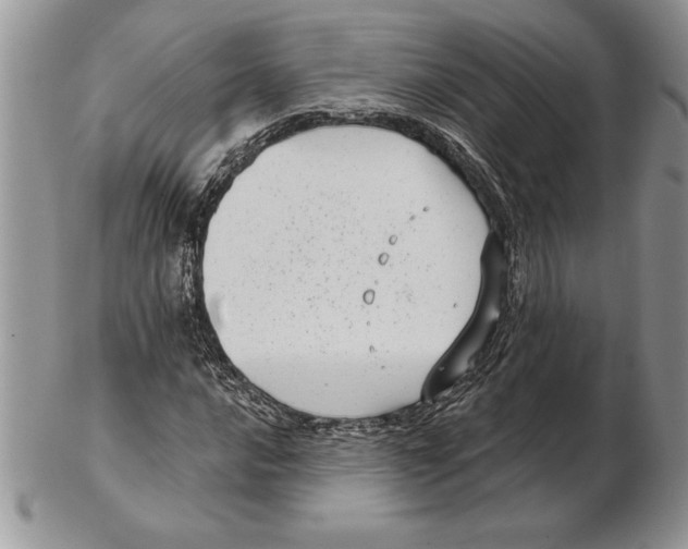 X0000102401016200808221843