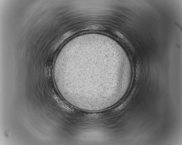 X0000102401017200808221843