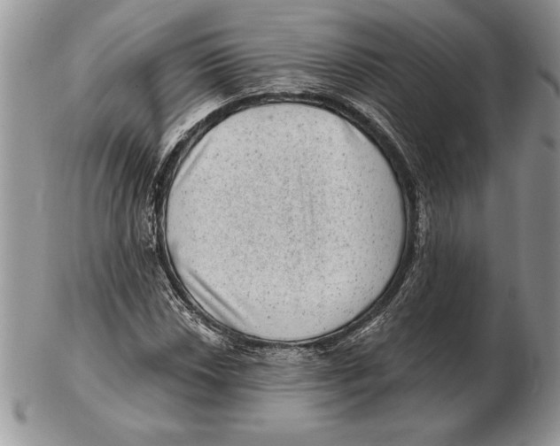X0000102401018200808221843