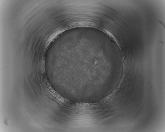X0000102401019200808221843