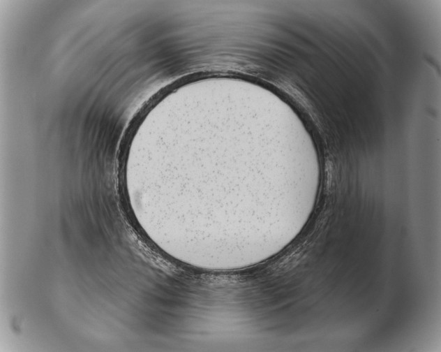 X0000102401020200808221843