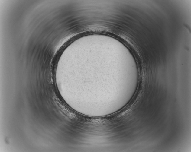 X0000102401022200808221843