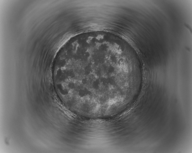 X0000102401023200808221843