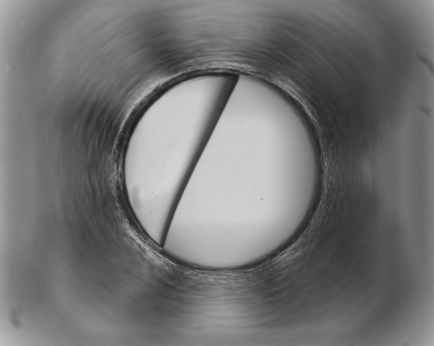 X0000102401024200808221843