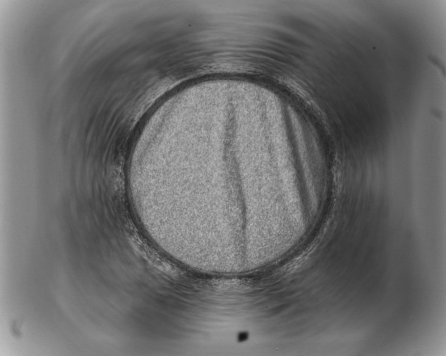 X0000102401025200808221843