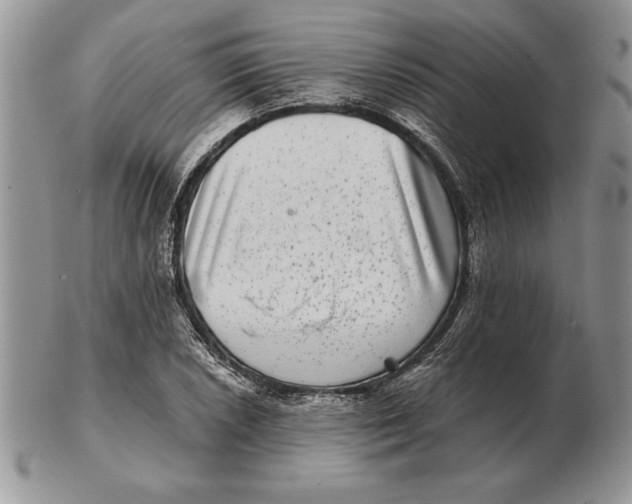 X0000102401026200808221843