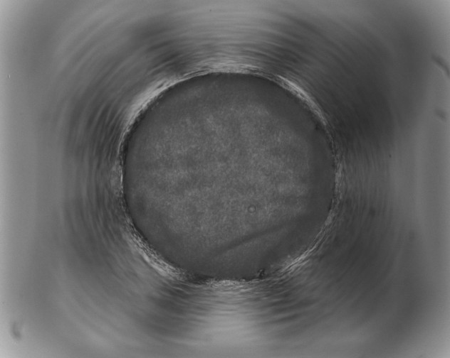 X0000102401027200808221843