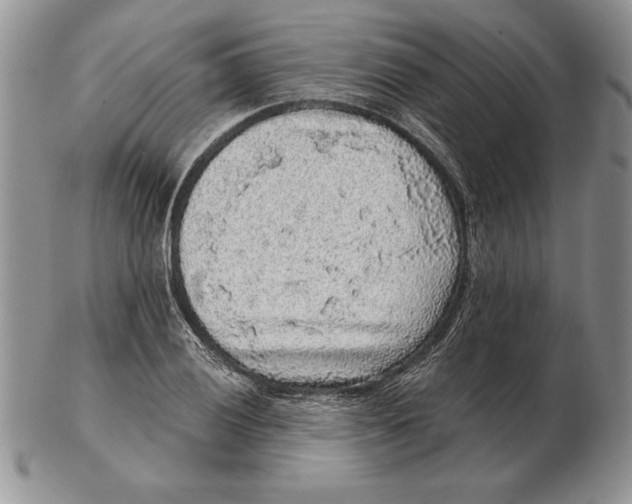 X0000102401028200808221843