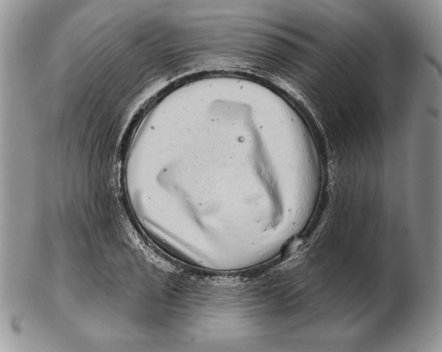 X0000102401029200808221843