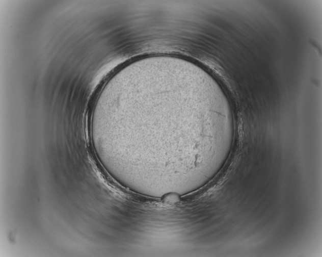 X0000102401030200808221843