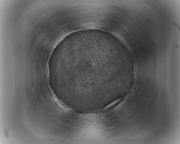 X0000102401031200808221843