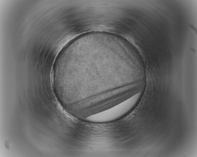 X0000102401032200808221843